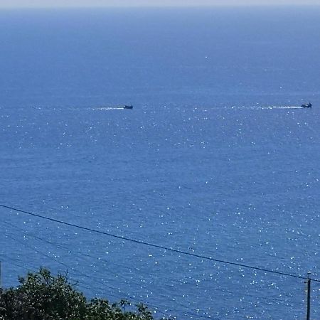 Villa Formosa Funchal  Kültér fotó