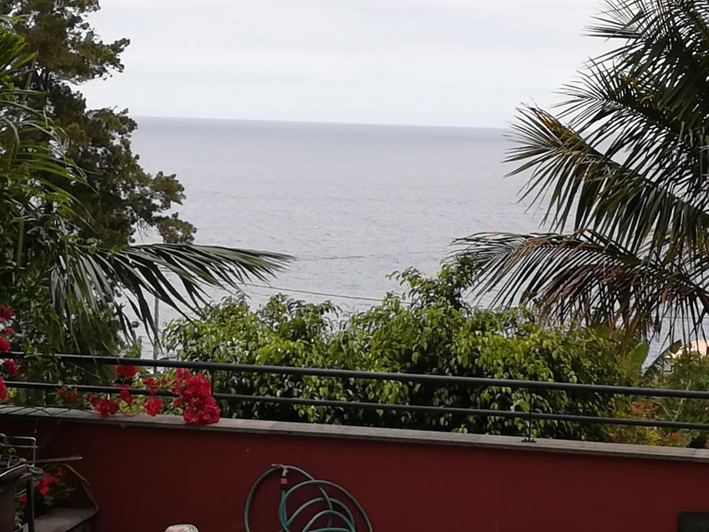 Villa Formosa Funchal  Kültér fotó